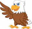 Hawk1111114