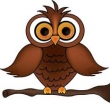 Night owl51534g153411