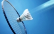 badminton1186231