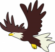 bald eagle clipart3