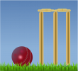 cricket3