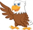 Hawk